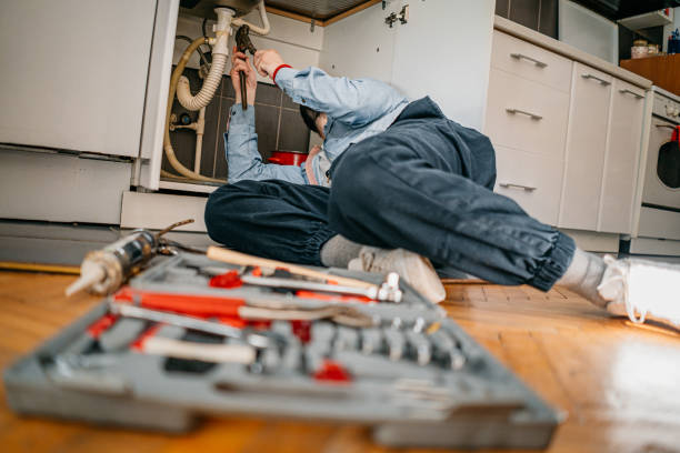 Best Plumbing Services Near Me  in Tropical Park, FL