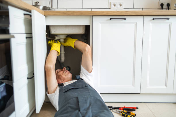 Best Residential Plumbing Services  in Tropical Park, FL