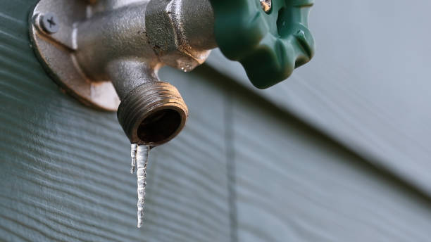 Best Drain Cleaning Services  in Tropical Park, FL